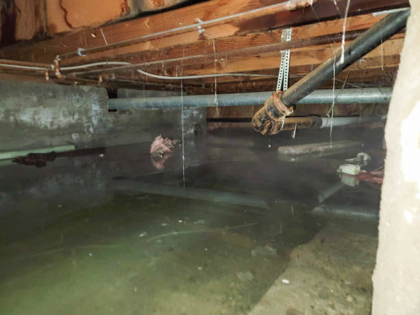 Best Water damage cleanup near me  in Columbus, GA