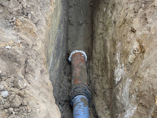 Best Flood damage cleanup  in Columbus, GA