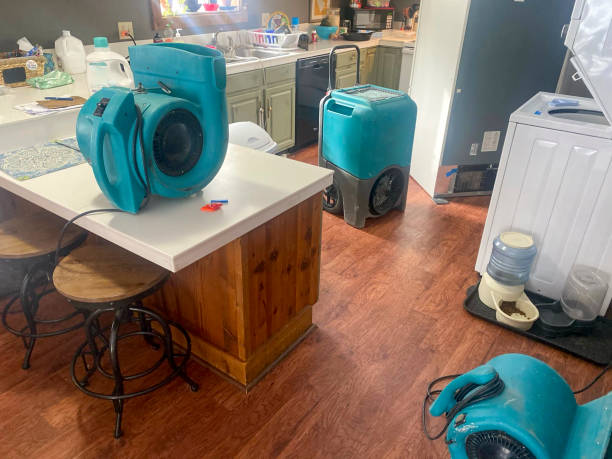Best Water damage contractors near me  in Columbus, GA