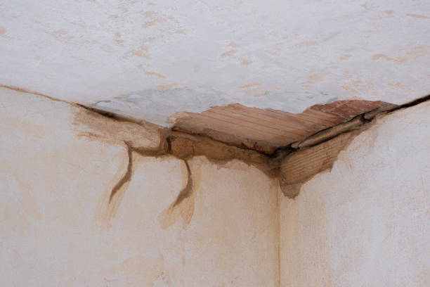 Best Emergency water damage restoration  in Columbus, GA