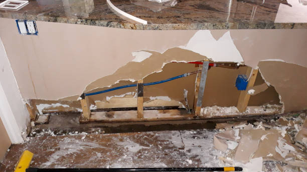 Best Water damage contractors near me  in Columbus, GA