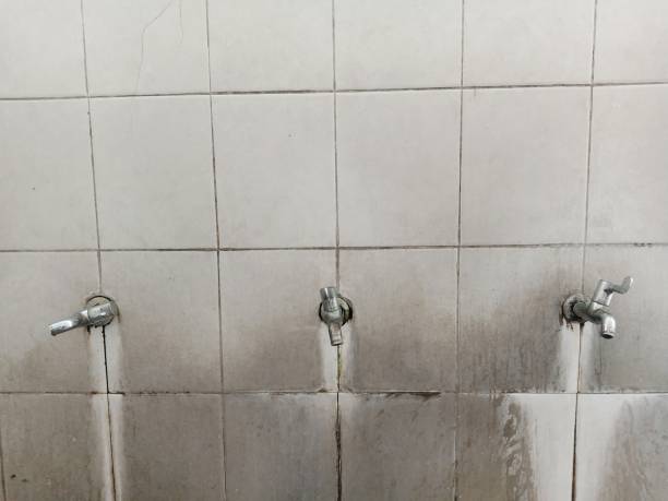 Best Mold removal after water damage  in Columbus, GA