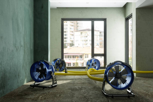Best Ceiling water damage repair  in Columbus, GA